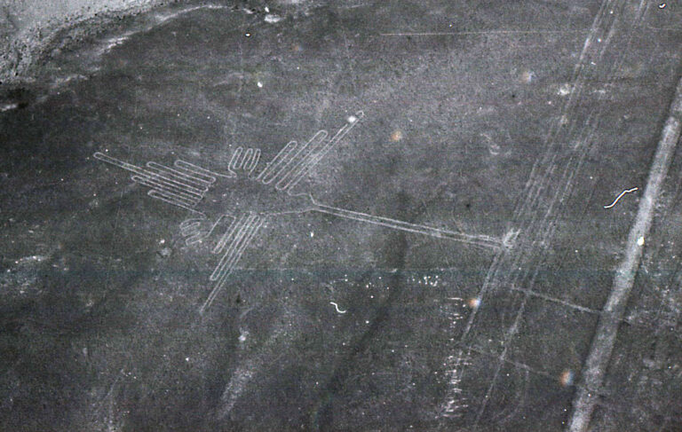 Nazca: Kolibri