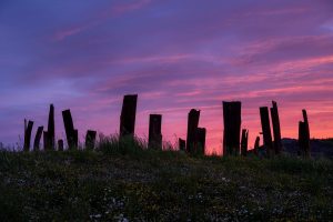 Horst Schröter: Sommersonnenwende